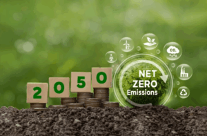 Net Zero